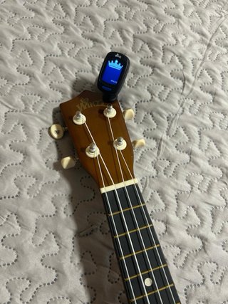 Ukelele Winzz con funda