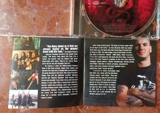 PANTERA - Reinventing Hell: The Best Of. Cd