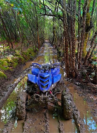 Yamaha Raptor 660 Azul