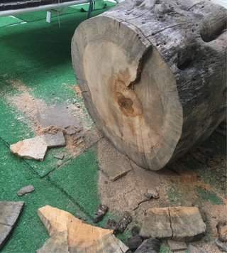 LAMPARA TRONCO MADERA PARA PATIO O TERRAZA