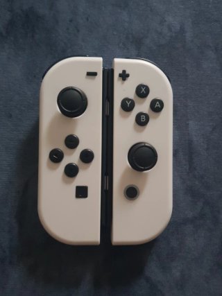 Controller Nintendo Switch Bianchi