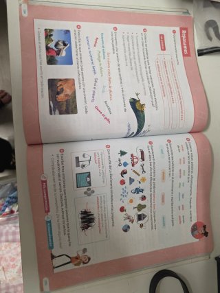 Lengua castellana y literatura 3 Primaria : Rev...