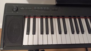 Teclado Yamaha Piaggero NP-12