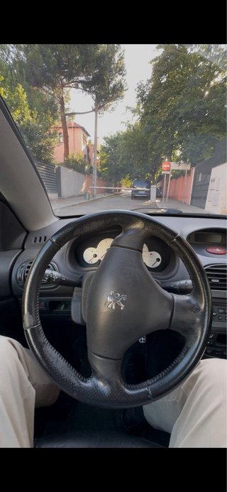 Peugeot 206cc 136cv 2002 cabrio 2 puertas