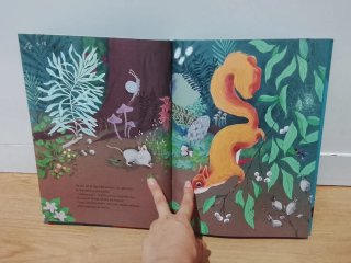 Libro infantil La caca más bonita del mundo