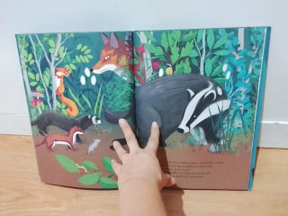 Libro infantil La caca más bonita del mundo