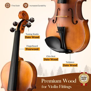 Violín 4/4 Madera Maciza Nuevo