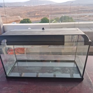 Acuario 100L / Terrario Amplio