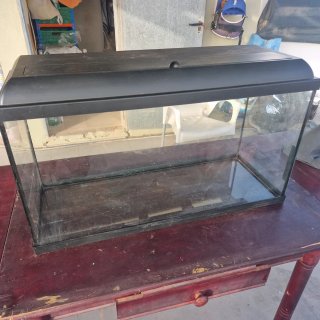 Acuario 100L / Terrario Amplio