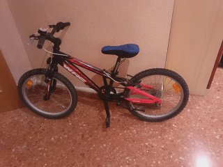 Bicicleta Rin 20