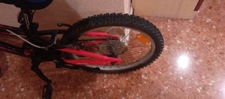 Bicicleta Rin 20