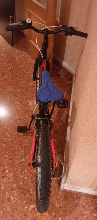 Bicicleta Rin 20