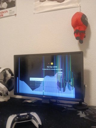 Smart TV LG, Panel roto