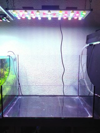 Acuario Paludario