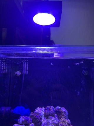Pantalla LED Acuario Marino Nicrew 50W HiperReef