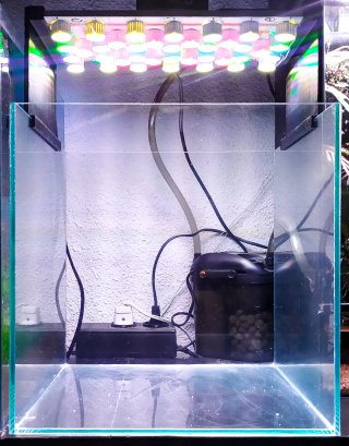 Urna Acuario