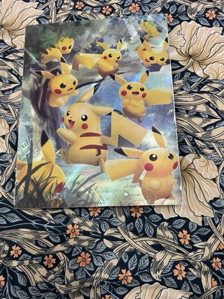 Álbum y Cartas Pokémon