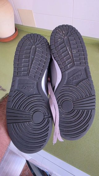 Nike Dunk Low Gris y Blanco