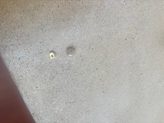 Pendientes Tous Perla Oro