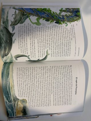 14. Metamorfosis