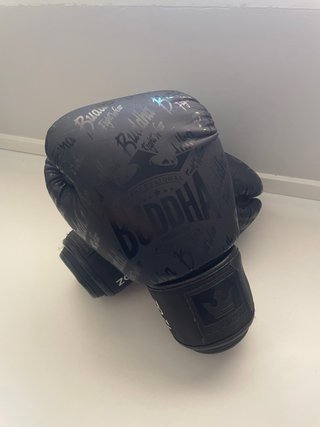 Guantes + espinilleras Buddha