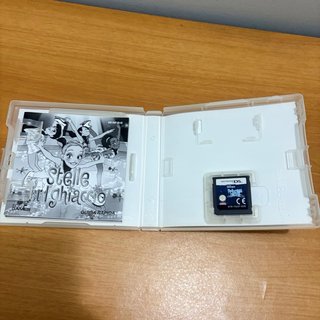 Stelle sul Ghiaccio Nintendo DS – Custodia, guida