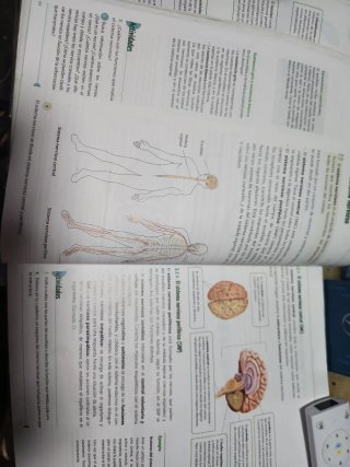 Biología y Geología 3º - Libro de texto en form...