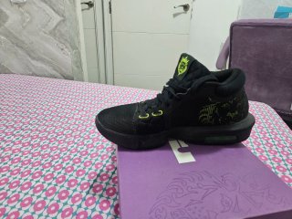 Zapatillas Nike Lebron James Negras y Verdes