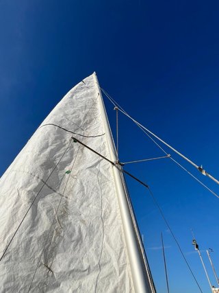 Patín a Vela (Pati Català)