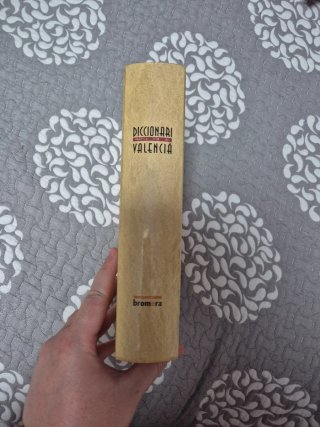 Diccionari pràctic d'ús del valencià