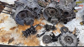 Despiece Motor AM6