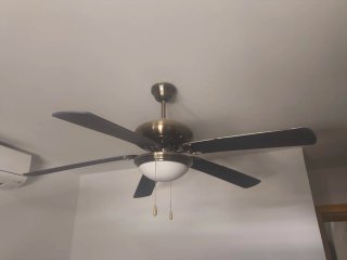 Ventilador de techo