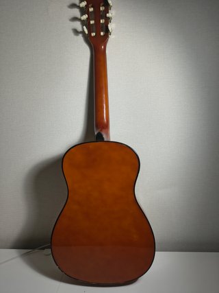Guitarra Clásica Rocío C-7 + Funda