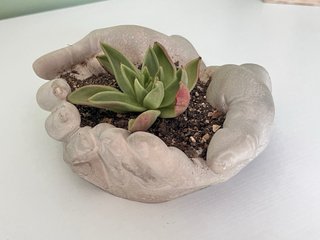 Maceta de Manos con Suculenta