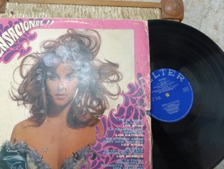 Disco Vinilo Sensacional - Pop Rock Internacional