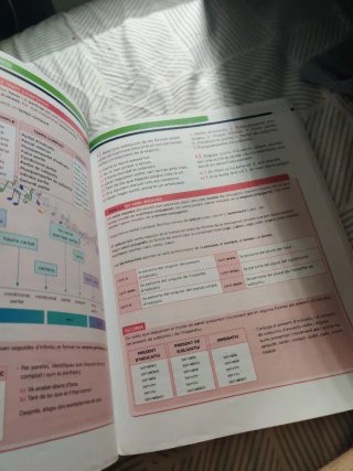 Lengua castellana, 1 ESO, Programa Carmen de Bu...