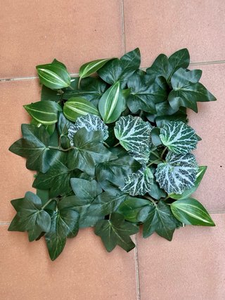 15 Plantas Artificiales Decoración Pared 25x25cm