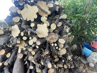 Leña de naranjo para chimenea