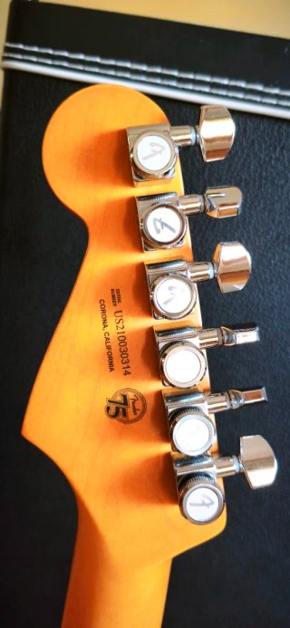 Fender Stratocaster USA Ultra