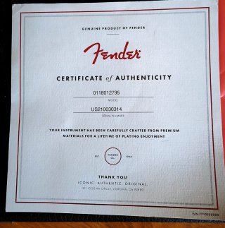 Fender Stratocaster USA Ultra