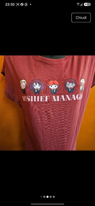 Maglia Harry Potter L