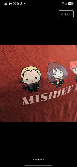 Maglia Harry Potter L
