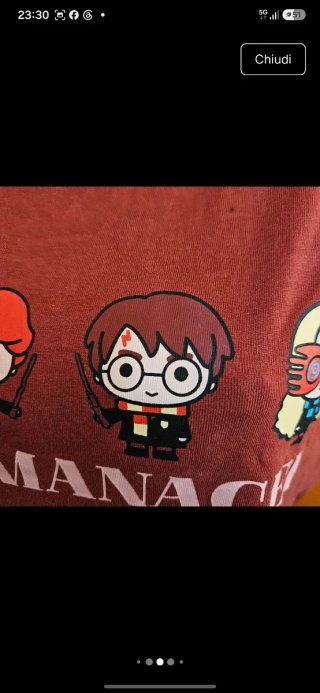 Maglia Harry Potter L
