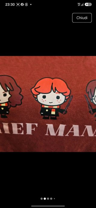 Maglia Harry Potter L
