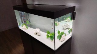 Acuario Eheim 180L con mueble