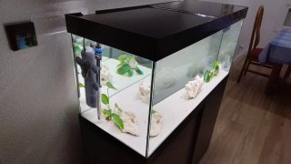 Acuario Eheim 180L con mueble