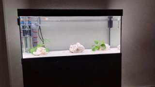 Acuario Eheim 180L con mueble