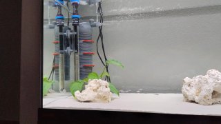 Acuario Eheim 180L con mueble