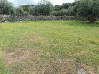 Finca de recreo