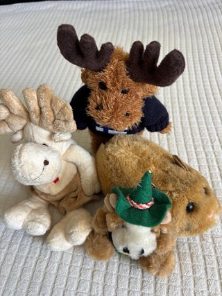 Peluche assortiti